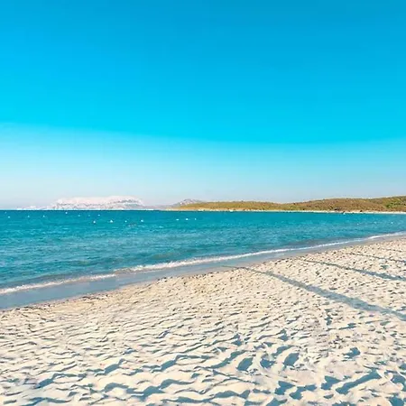 Olbia-nuovissimo Monolocale E Tranquillo * Ольбія